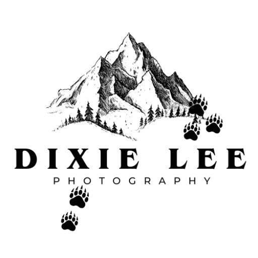 dixieleephotography.com