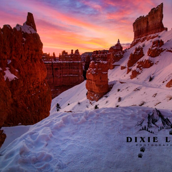 Before the Dawn Bryce Canyon UT Winter