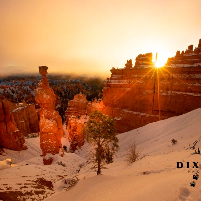 Bryce Canyon Thor's Hammer and Sunburst and Fog