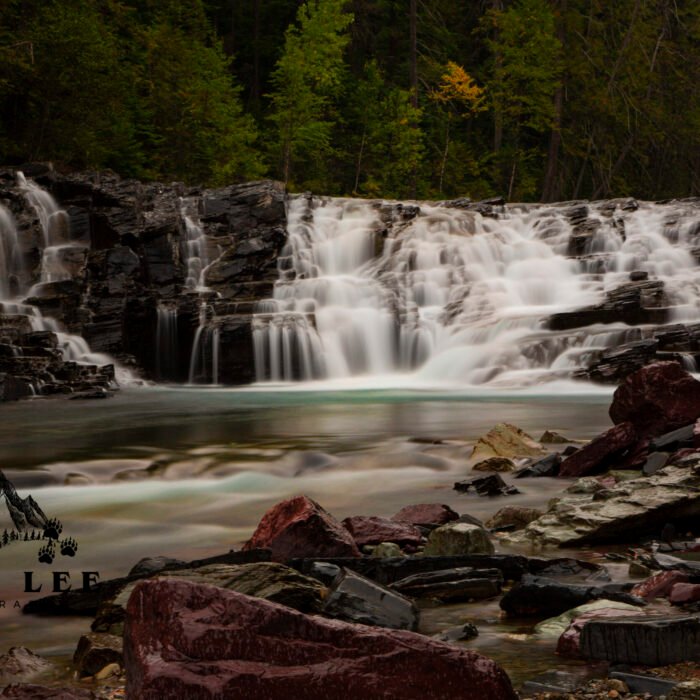 GNP Lake McDonald Falls