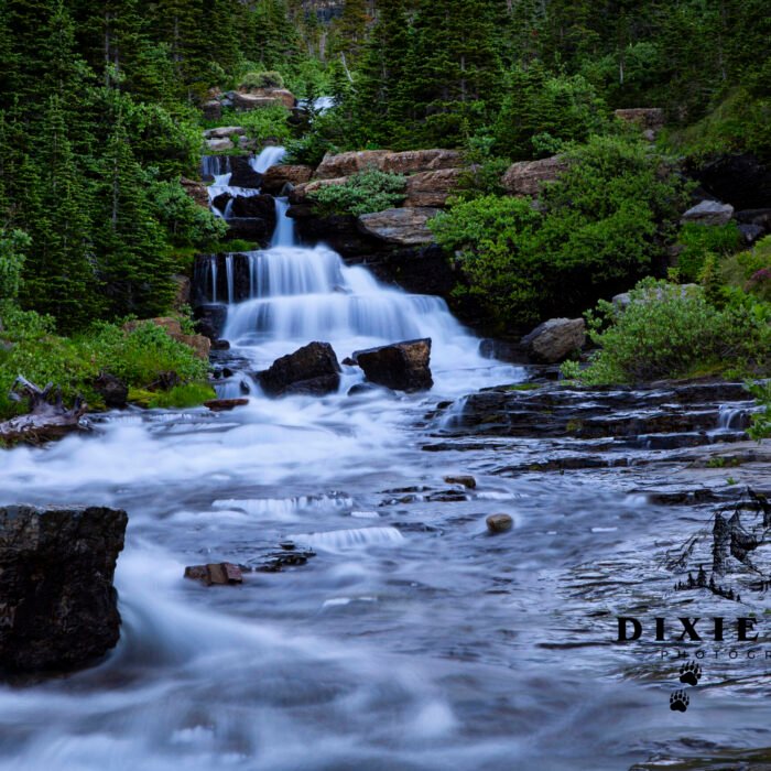 GNP Lunch Creek Falls 3