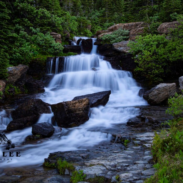 GNP Lunch Creek Falls in July