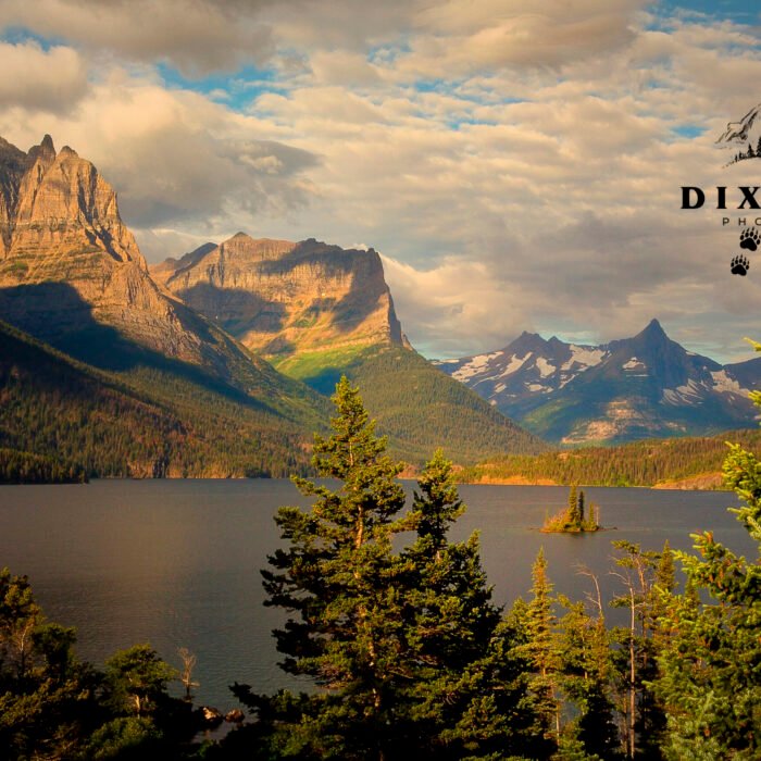 GNP Wild Goose Island August