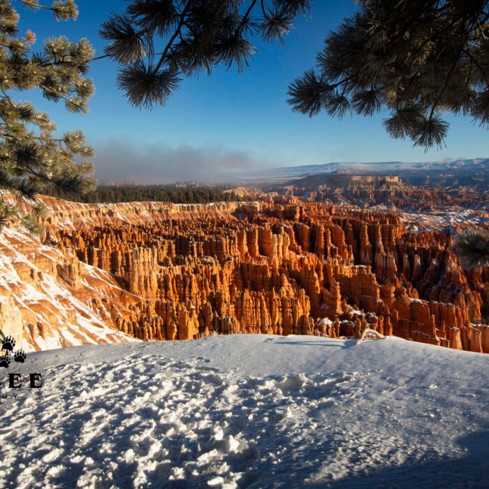 Inspiration Point Bryce Canyon Winter