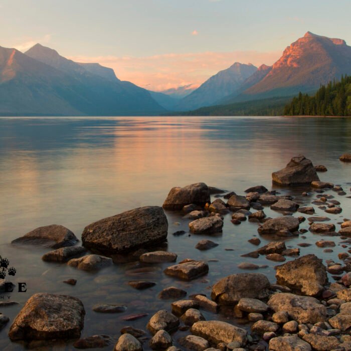 Lake McDonald August Night