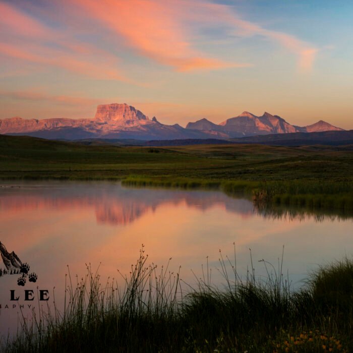 Old Chief MT Before the Dawn