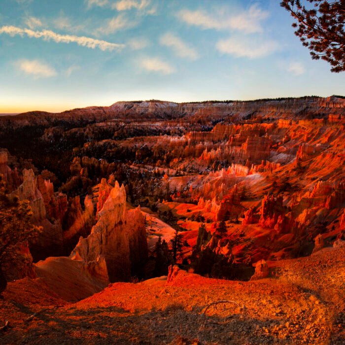 The Walking Tree Bryce Canyon UT First light