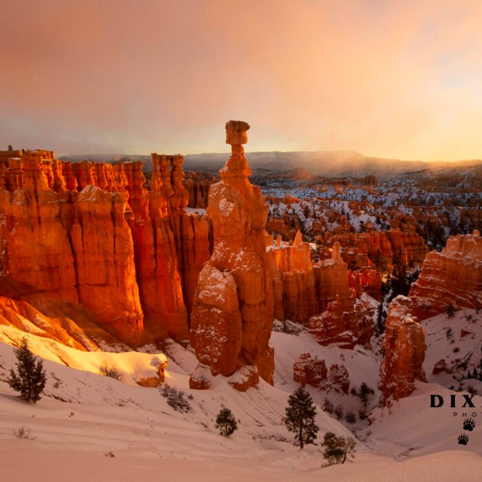 Thor's Hammer Foggy Morning Bryce