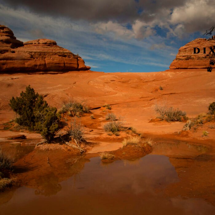 Trail and Rainwater ANP