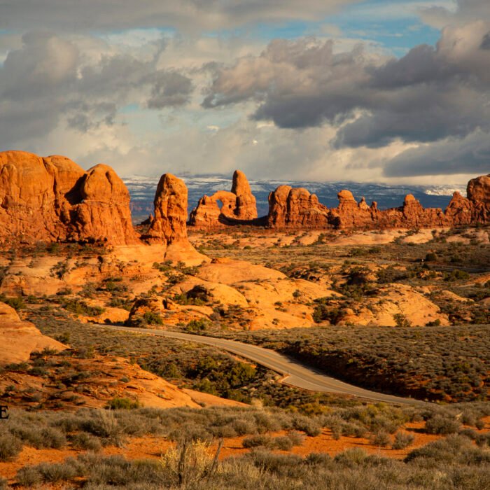 Windows Section Arches